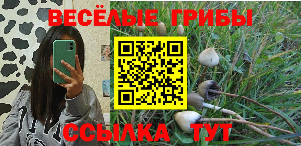 Псилоцибиновые грибы мицелий Ленинск-Кузнецкий