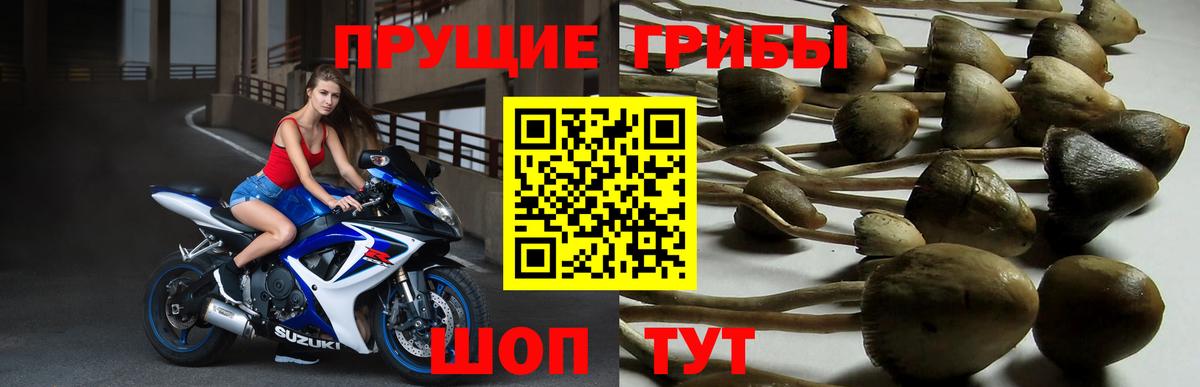 Ленинск-Кузнецкий  Галлюциногенные грибы Magic Shrooms  Вход с VPN 